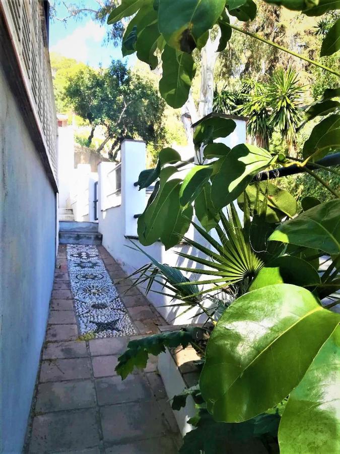 Quiet House In Malaga Villa ภายนอก รูปภาพ